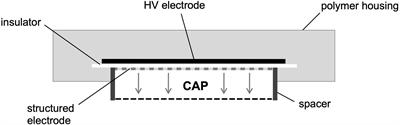 The Latest Time Point of Retreatment (LTPR) as a Novel Method to Determine Antibacterial Effects for Binary Use of Cold Atmospheric Plasma and Conventional Agents